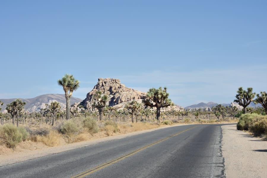 roadtrip planning
