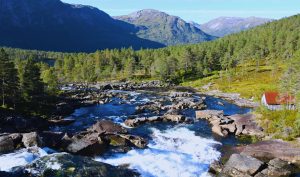 Photo natuurvakantie